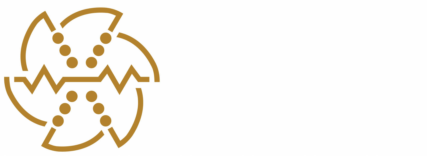 Rig1